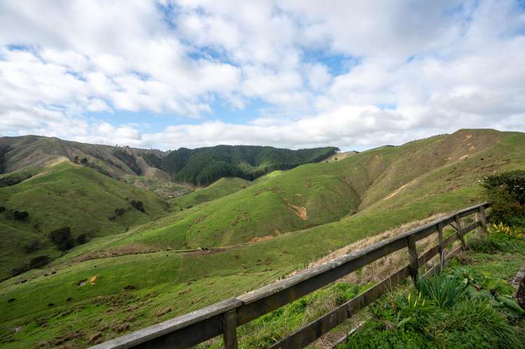 105a Rawson Road Waerenga_20