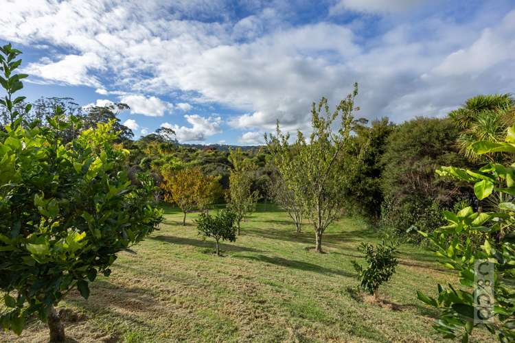 11 Moses Road Kaukapakapa_17