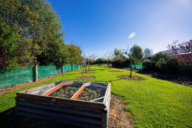 238a Mt Fyffe Road Kaikoura_29