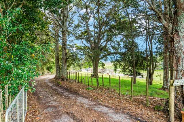 206 Bint Road Maungakaramea_2