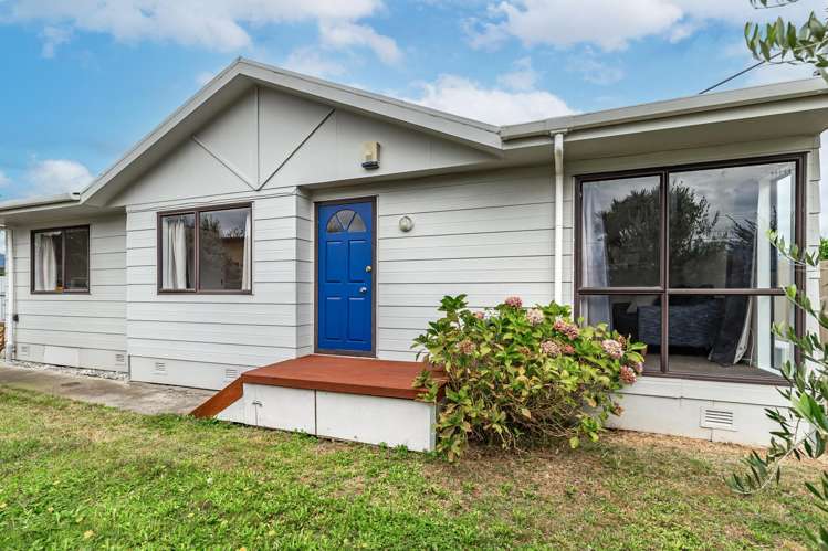 36A Wilton Street Levin_11