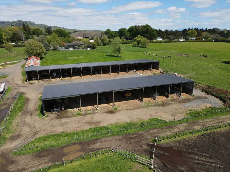 2/573 Tirau Road Cambridge_13