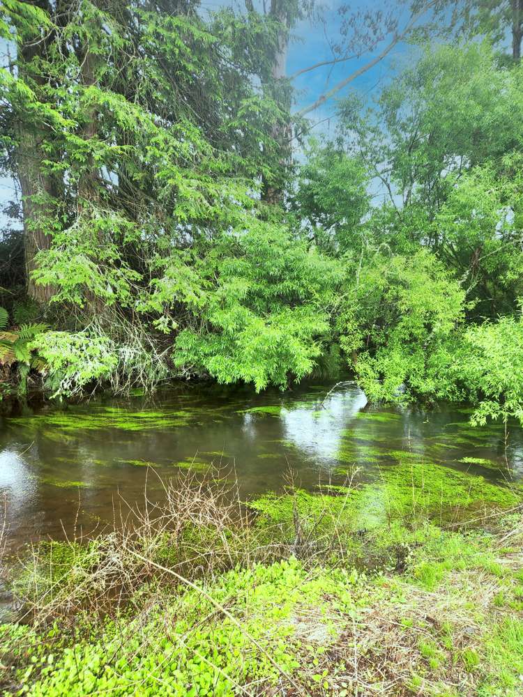 161 Kawautahi Road Owhango_8