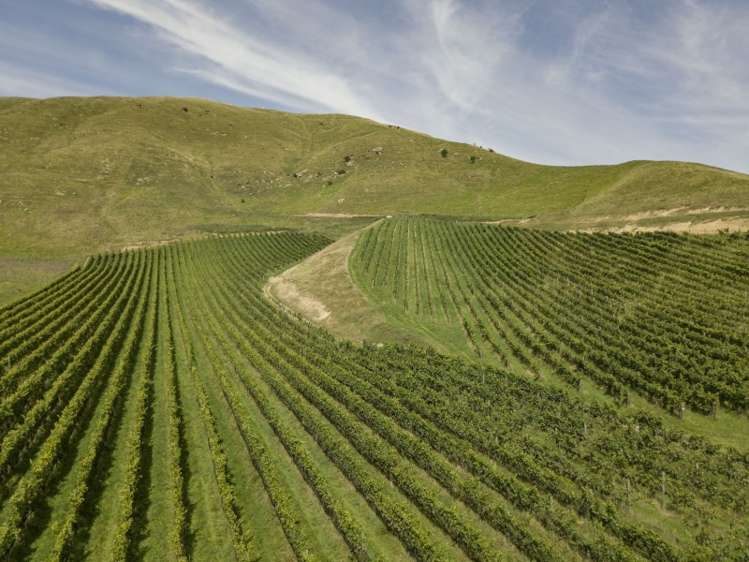 149 Wrekin Road Fairhall_5