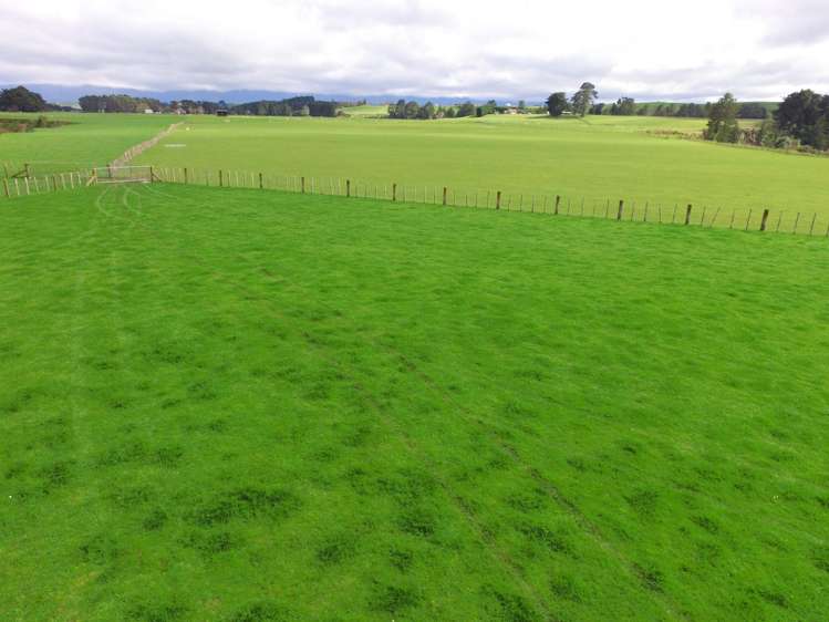 63 Hamilton Road Dannevirke_31
