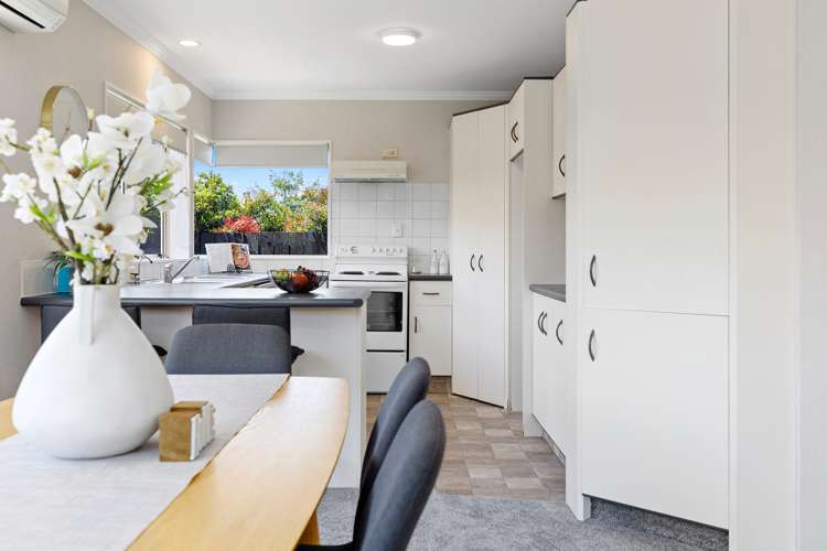 28a Laburnum Glen Mount Maunganui_11