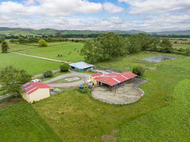 250 No 8 Road Morrinsville_3