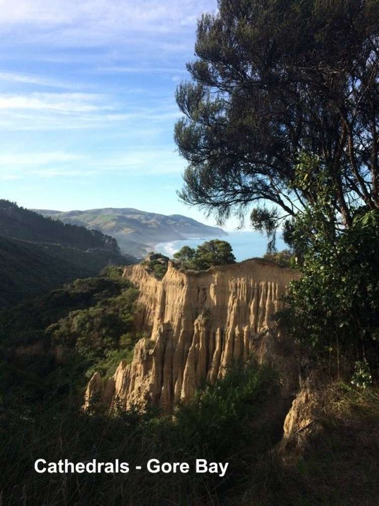 113 Parnassus Road Cheviot_14