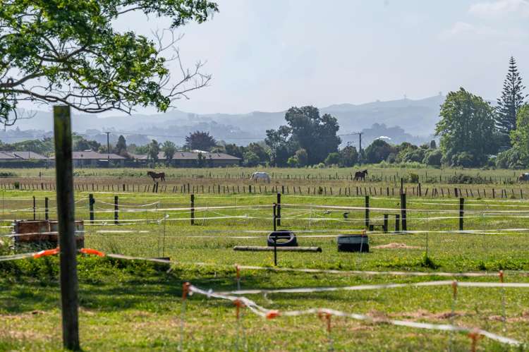 13 The Loop Meeanee_19