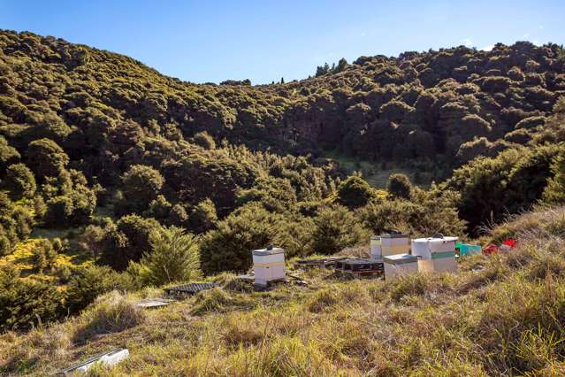 512 Orapiu Road Waiheke Island_3