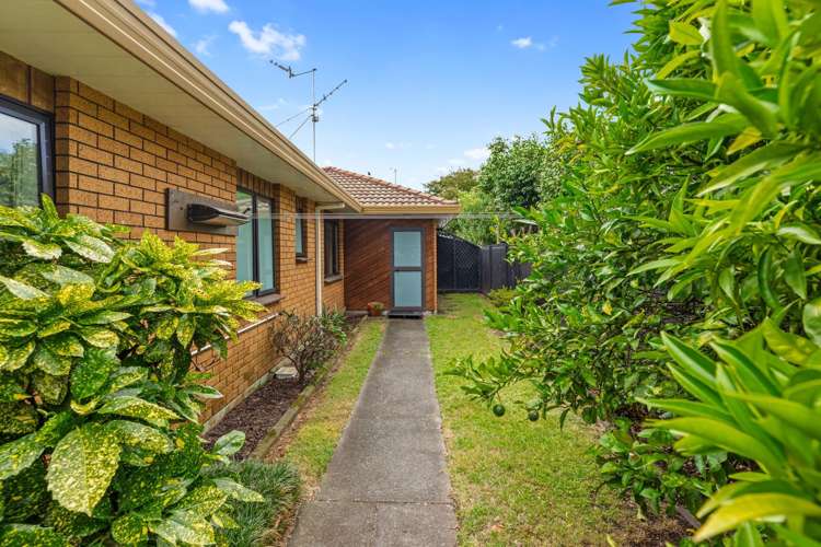 79 Domain Road Papamoa_17