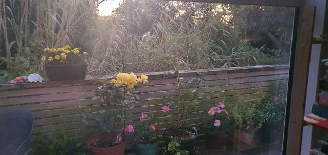 123 Wellington Road Paekakariki_2