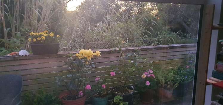 123 Wellington Road Paekakariki_2