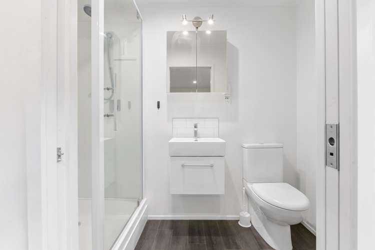 17 Maple Avenue Dinsdale_17