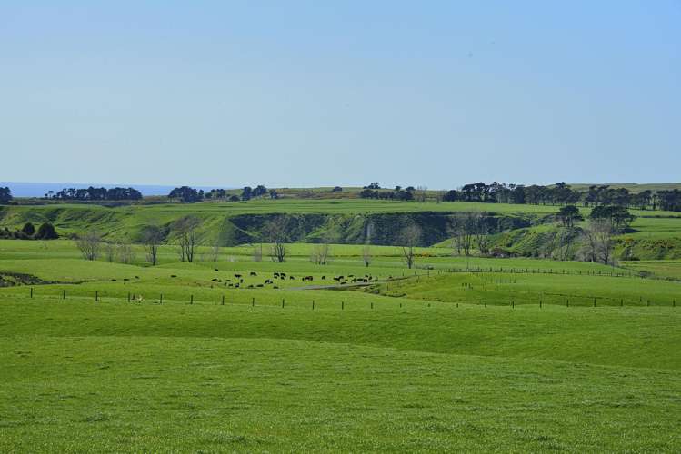 790 Mahia East Coast Road Māhia_13