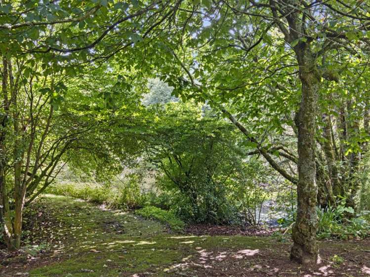 488 Tapuwae Road Benneydale_23