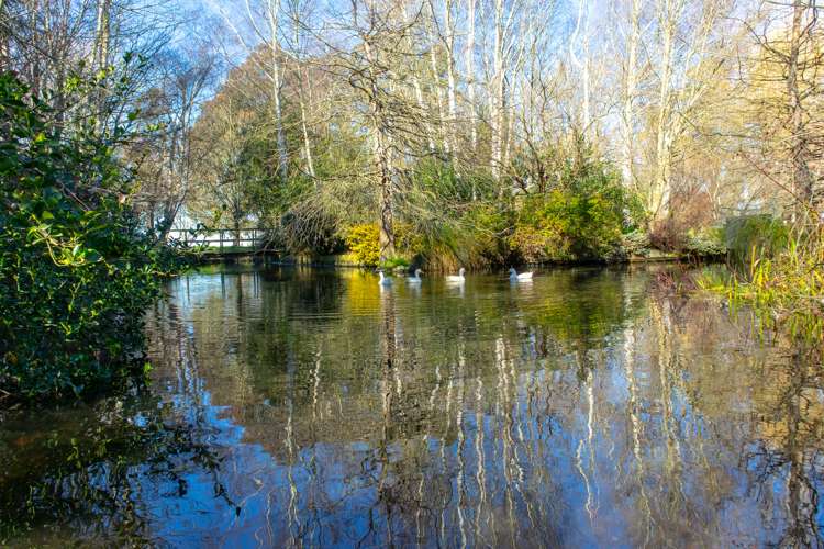 90 Sheates Road Westerfield_25