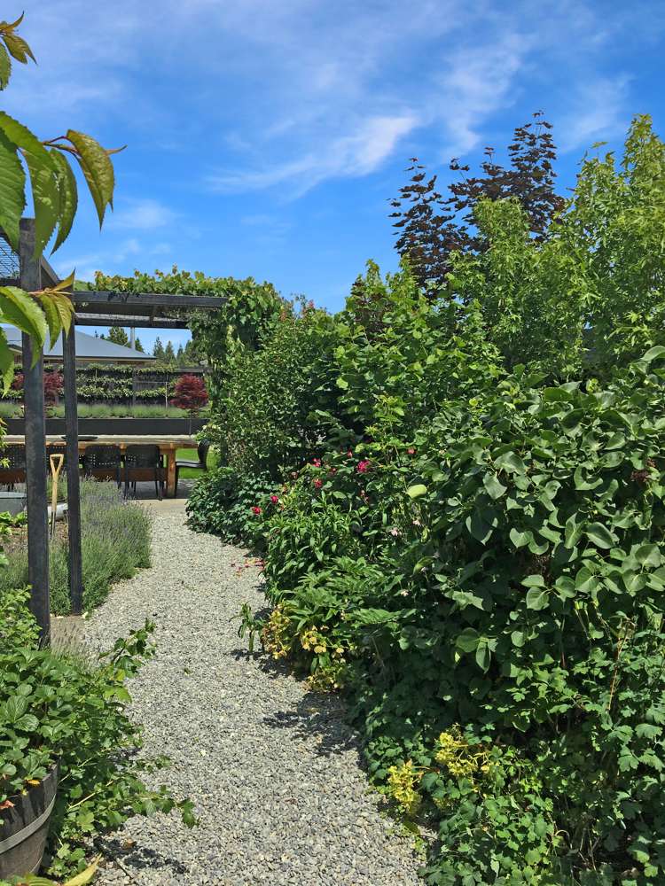 15 Rhoboro Road Twizel_24