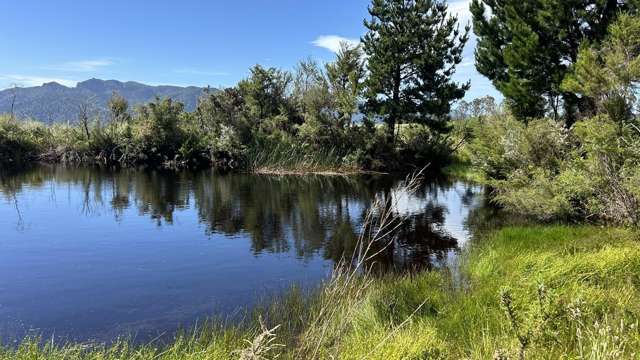 1419 Collingwood-Bainham Main Road Collingwood_4