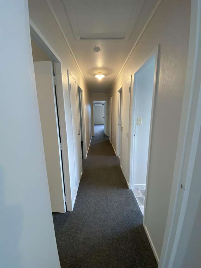 221 Brown Road Te Puke_4