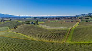 284 Paynters Road_3