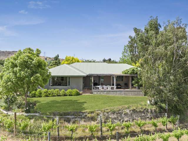 154C Cairnmuir Road Cromwell_2