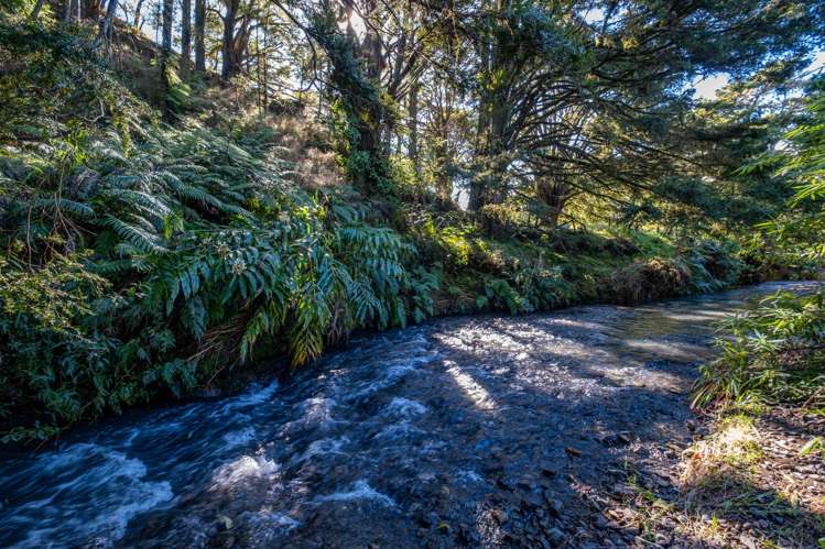 373 Fern Flat Road_0