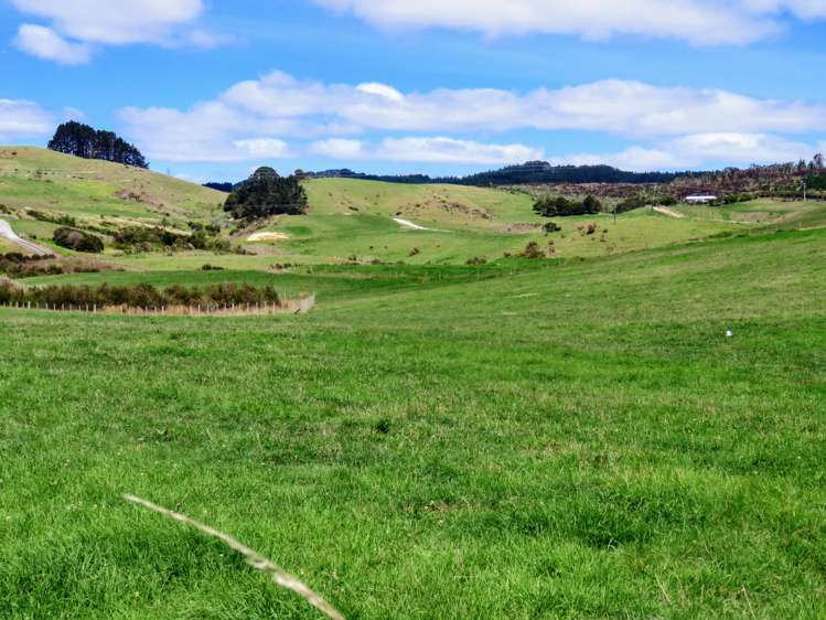 186 West Coast Road Makarau_7