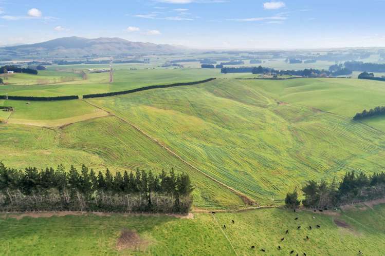 Lot 1 and 2 Pinnacle Road_5