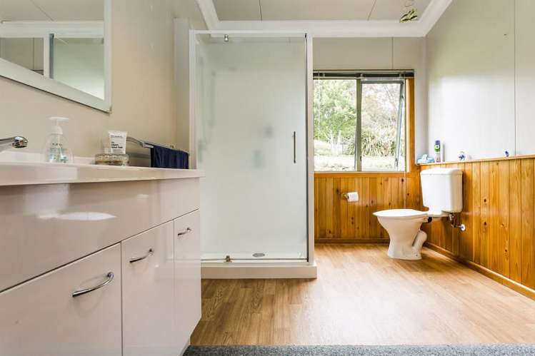 156 Halfway Bush Road Halfway Bush_8