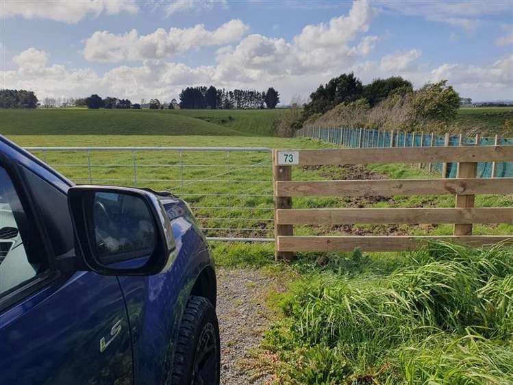 73 Brightwell Road Bulls_5