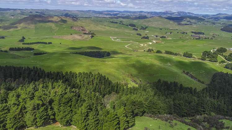 10284 Route 52 Pongaroa_16