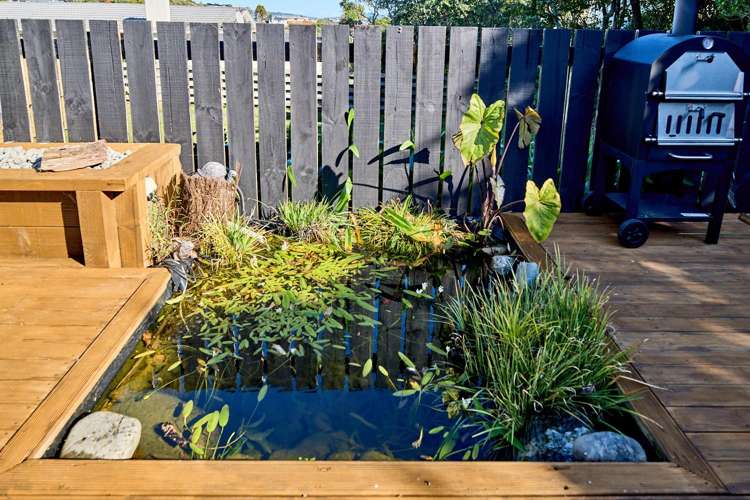 10 Alder Place Newlands_23