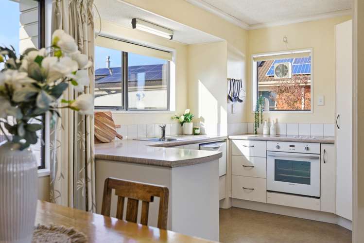 6A Compton Place Mount Maunganui_5