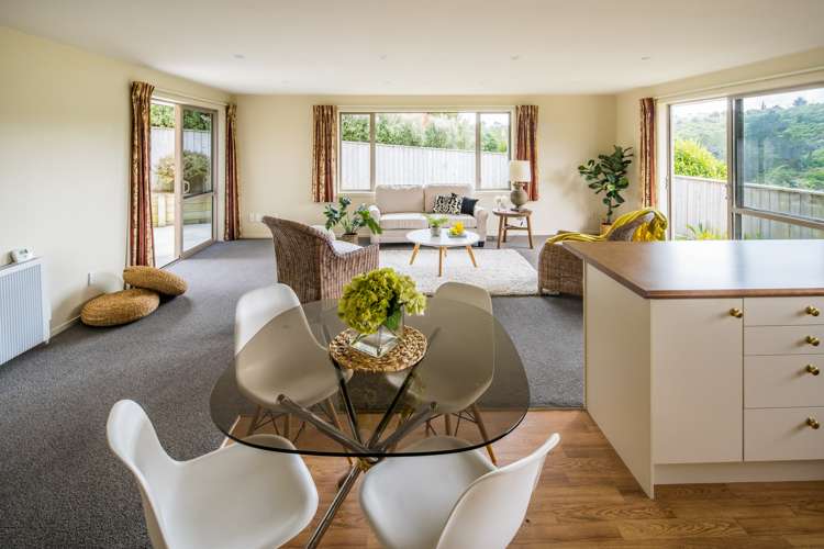 7 Catlins Glen Aotea_3