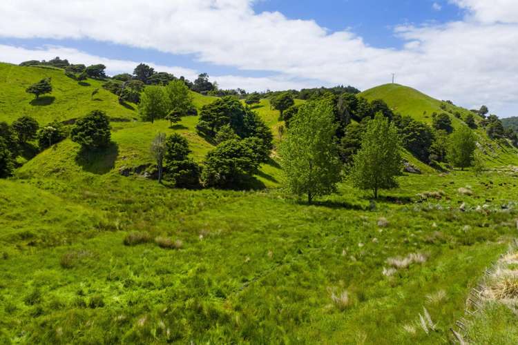 Te Akau Coast Road Te Akau_19