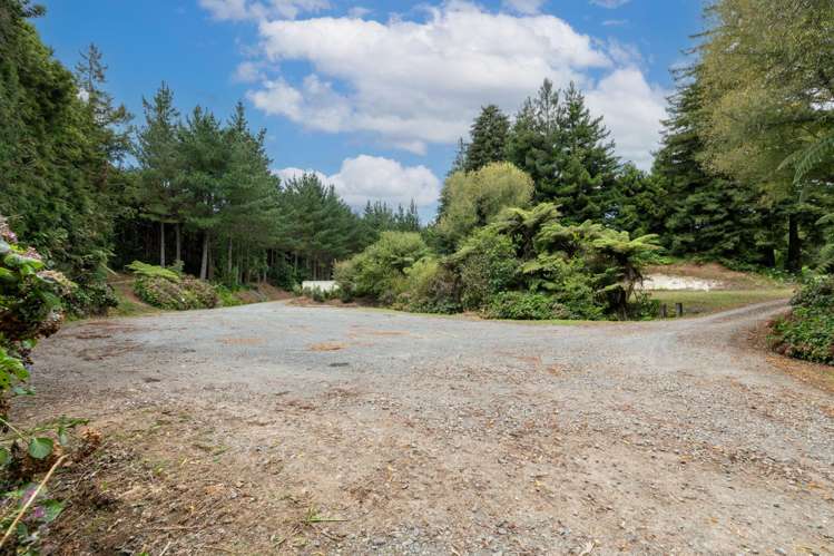 169 Kauri Point Road Tahawai_11