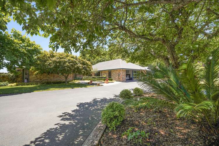 26B Dalbeth Place Matangi_31