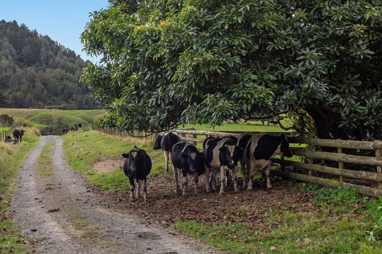 179 and 216 Rankin Road Waiotahe_32