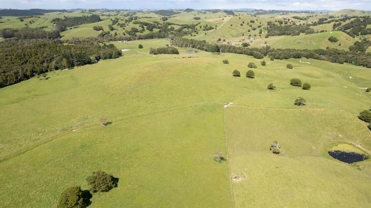 1108 Tokatoka Road Ruawai_24