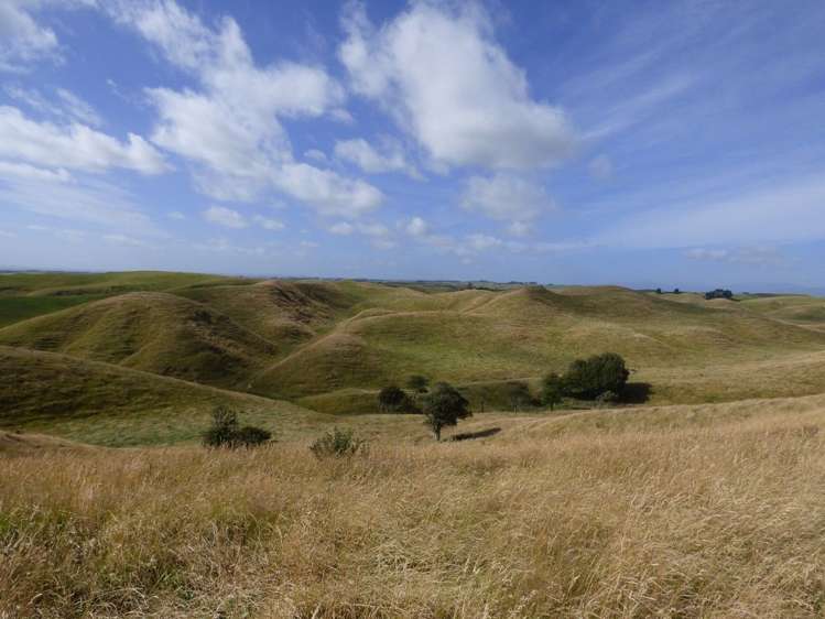 729 Midland Road Bunnythorpe_9