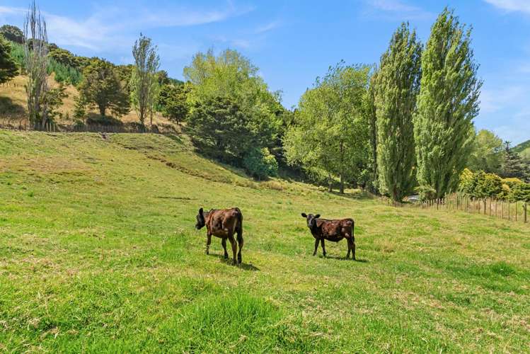 1408 Omana Road Tangiteroria_24