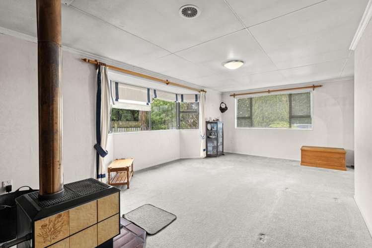 7 Pain Street Bulls_7