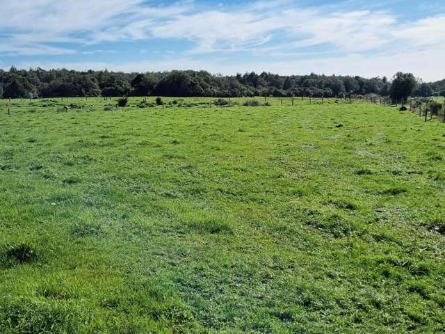 8ha Grazing or Lifestyle