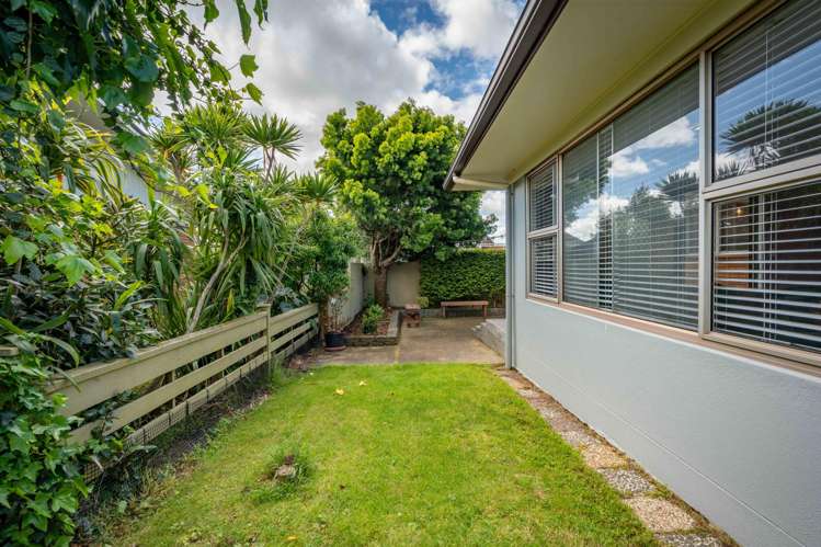 216B Peachgrove Road Claudelands_22