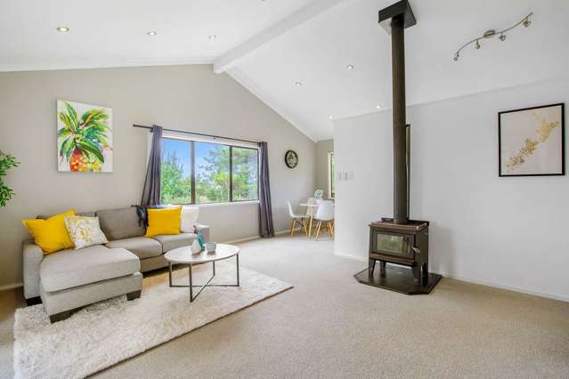 65 Alpine Road Kaukapakapa_4