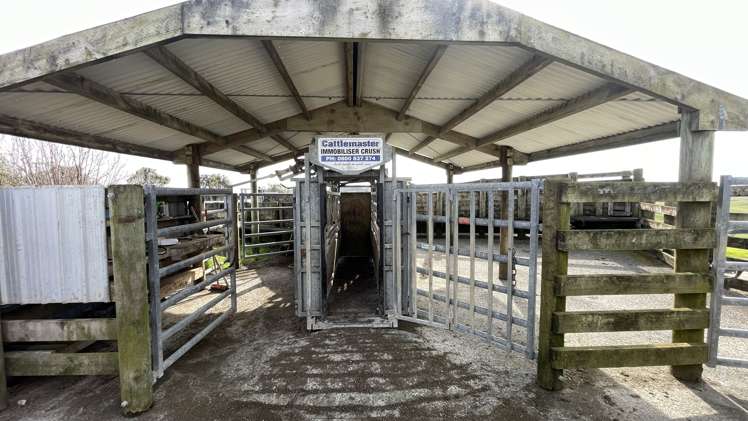 227 Tapu Bush Road Whangaripo_11