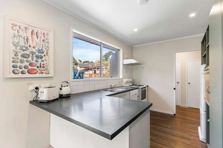 53 Sheridan Drive New Lynn_15