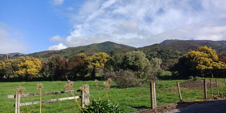 236 Underhill Road Tauwharenikau_15