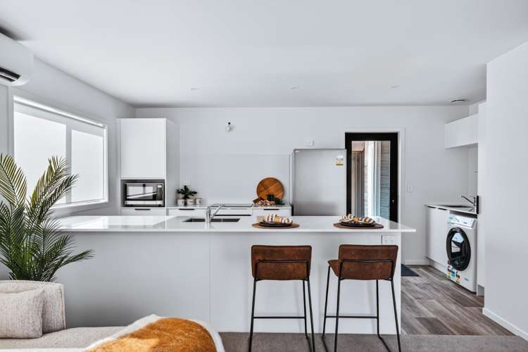 19 Kaka Street 11201_5
